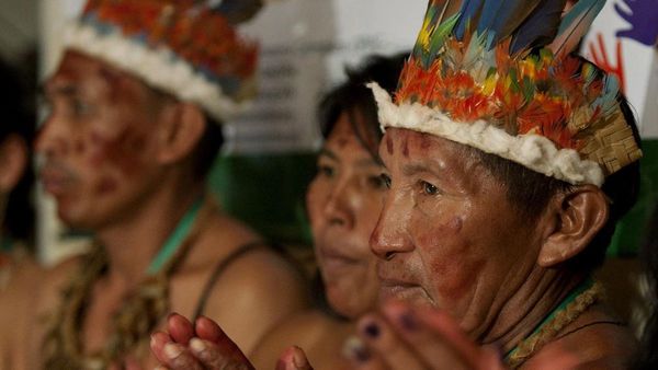 Palabras del guaraní en el léxico español