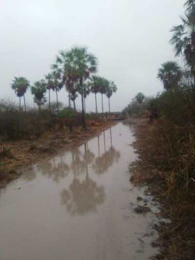 Esporádicas y esperanzadoras lluvias riegan suelo chaqueño - Nacionales - ABC Color