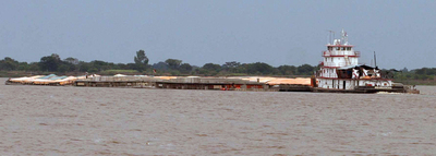 Países de la Cuenca del Plata coordinan acciones conjuntas para afrontar la sequía extrema | .::Agencia IP::.