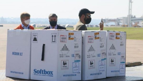 Llegan al país 18.720 dosis de la Pfizer adquiridas por el Gobierno