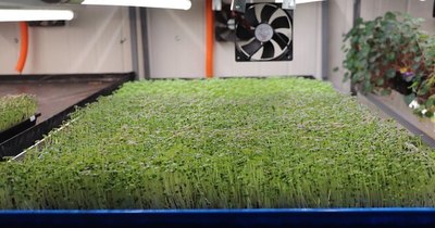 La Nación / Jóvenes apuntan a nueva generación de agricultores