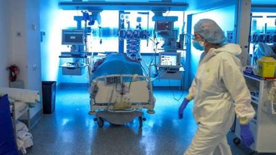 Covid: solo 62 contagiados sobre 3.001 pruebas, ¿hasta cuando durará la “primavera” sanitaria?