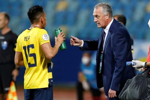 Alfaro convoca en Ecuador a 29 jugadores para triple fecha de eliminatorias - Fútbol - ABC Color