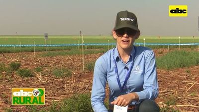 Abc Rural: Jornada de campo y desecación de malezas de Corteva - ABC Rural - ABC Color