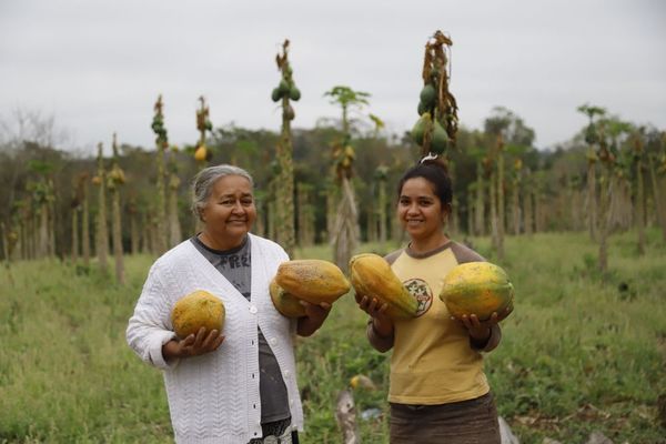Emprendedora de Tenonderã incursiona en el cultivo del mamón