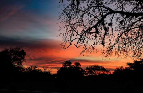 Pronostican amaneceres frescos y tardes calurosas - ADN Digital