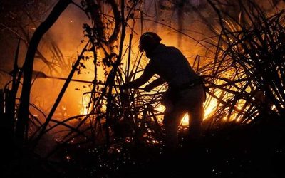 Lanzan recomendaciones para evitar incendios forestales en zona de la Reserva de Biósfera ITAIPU