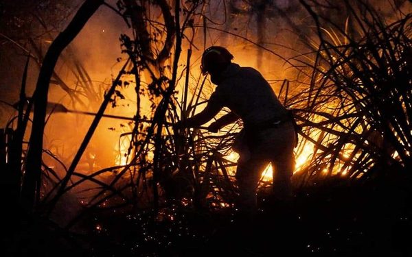 Lanzan recomendaciones para evitar incendios forestales en zona de la Reserva de Biósfera ITAIPU