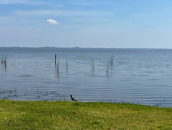 Remarcan que falta de estructuras sanitarias ponen en peligro al lago Ypacaraí · Radio Monumental 1080 AM