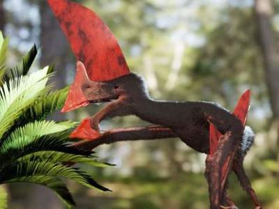 Tras redada, descubren fósil de dinosaurio volador muy conservado | El Independiente