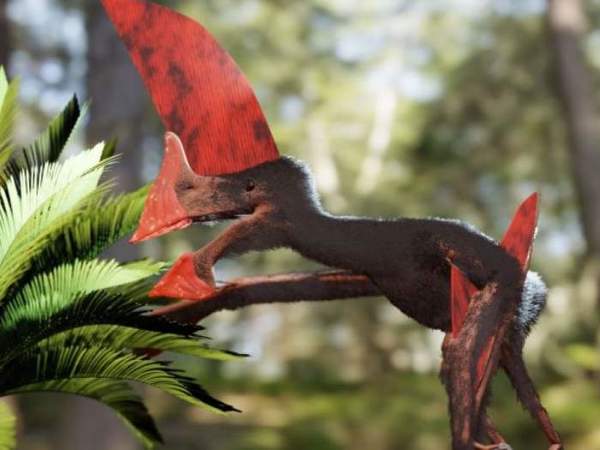 Tras redada, descubren fósil de dinosaurio volador muy conservado | El Independiente