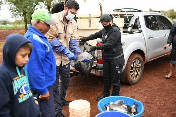 Itaipu entregó 300 kilos de pescado a comunidades indígenas de Alto Paraná | .::Agencia IP::.