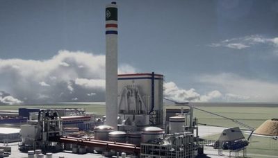 Planta de celulosa dispone de vacancias laborales