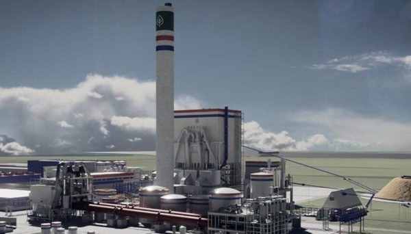 Planta de celulosa dispone de vacancias laborales