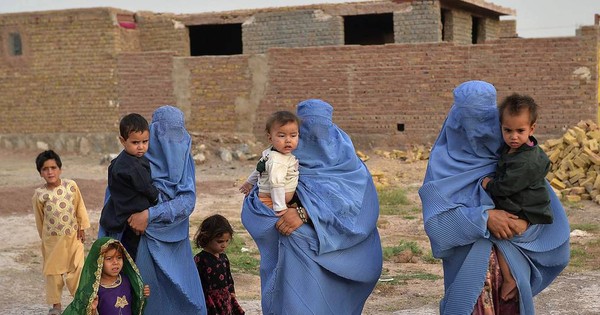 La Nación / Huyeron de los talibanes, comieron hongos venenosos y ahora necesitan trasplantes