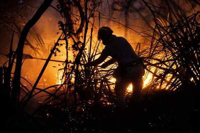 Lanzan recomendaciones para evitar incendios forestales en zona de la Reserva de Biósfera