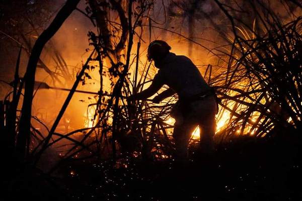 Lanzan recomendaciones para evitar incendios forestales en zona de la Reserva de Biósfera