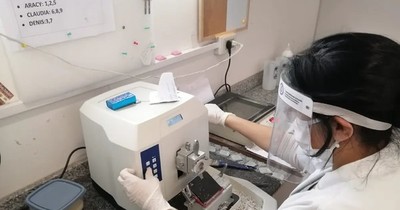 La Nación / Vacuna taiwanesa inscribirá voluntarios de Central y Alto Paraná para estudio de fase 3