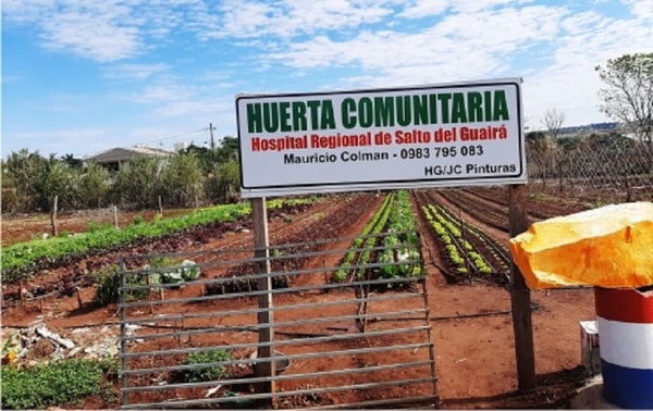 Producen alimentos saludables en huerta comunitaria del hospital de Salto del Guairá
