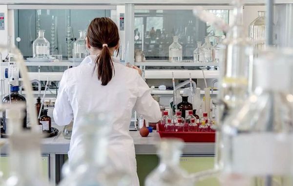 Crean fibras musculares sintéticas muy resistentes para usarlas en textiles - Ciencia - ABC Color
