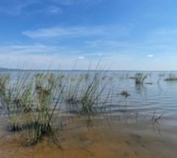 Lago Ypacaraí sigue inhabilitado para su uso recreativo - Paraguay.com