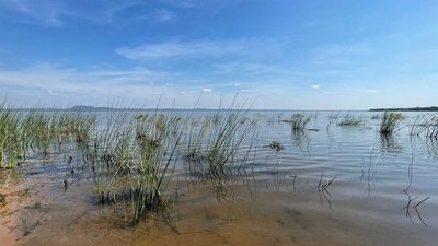 Lago Ypacaraí está libre de coliformes fecales pero sigue inhabilitado para uso recreativo | Noticias Paraguay