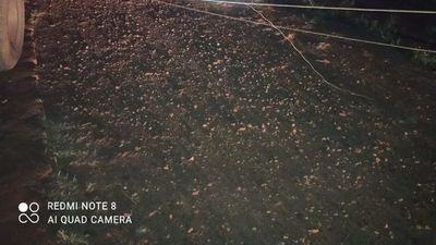 Dos personas fallecen en un accidente en Presidente Franco