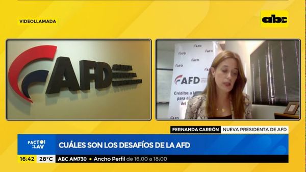 AFD adjudica primera emisión de bonos del año por ₲ 100 mil millones - Nacionales - ABC Color