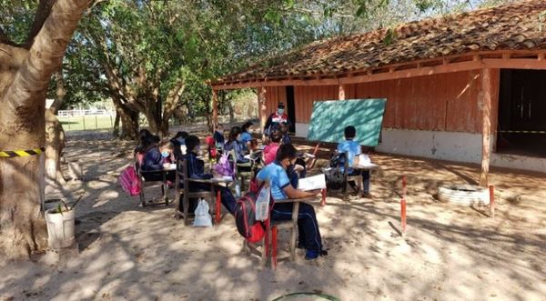 Alumnos iniciaron clases presenciales bajo árboles en Concepción