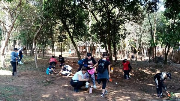 Fans paraguayas celebran la carrera de Alejandro Sanz con plantación de árboles - Música - ABC Color