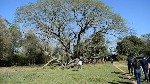 Culmina exitosa expedición en busca del Coloso de la Tierra 2021