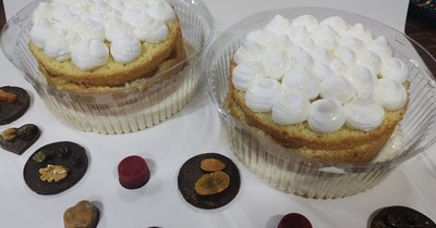 La Nación / Solidaridad animalera: mujer alimenta a más de 45 peluditos vendiendo chocolate y tortas