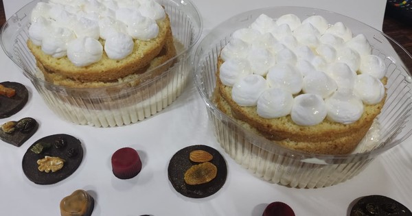 La Nación / Solidaridad animalera: mujer alimenta a más de 45 peluditos vendiendo chocolate y tortas