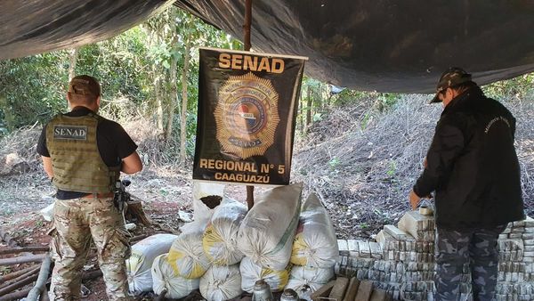 En siete años 120 funcionarios fueron procesados por lavado