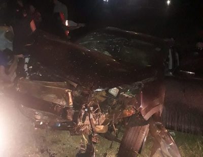 Gato provoca violento accidente