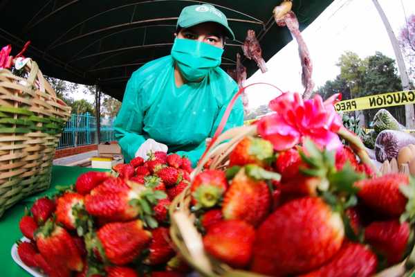 Productores realizan por tercer martes consecutivo la feria agropecuaria en el Multiplaza | .::Agencia IP::.