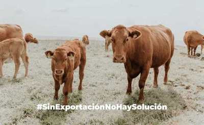 Argentina perdió 1.084 millones de dólares por freno a exportación de carnes