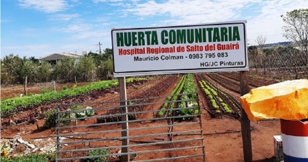 La Nación / Salto del Guairá: hospital cuenta con huerta comunitaria y brinda alimentos saludables