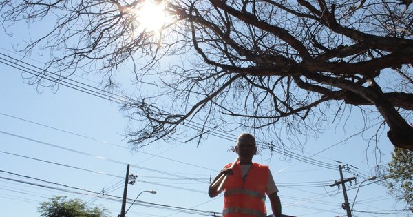 La Nación / El mes más caluroso registrado en el planeta en los últimos 142 años