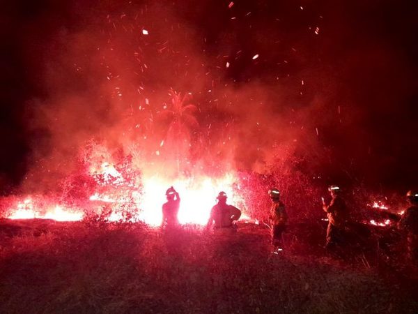 Alto riesgo de incendios continúa para los próximos meses | OnLivePy