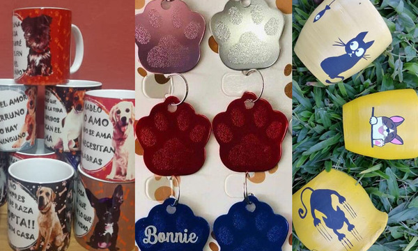 #TodosporSanFra: Refugio de animales vende placas, tazas y planteras para costear gastos de rescates - OviedoPress