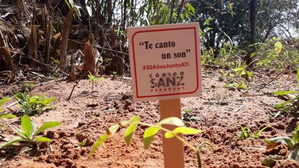 Por los 30 años de carrera de Alejandro Sanz, plantan árboles en Yaguarón