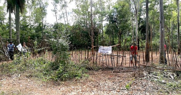 La Nación / Asociación de Municipalidades de Alto Paraná apoya proyecto para criminalizar invasiones