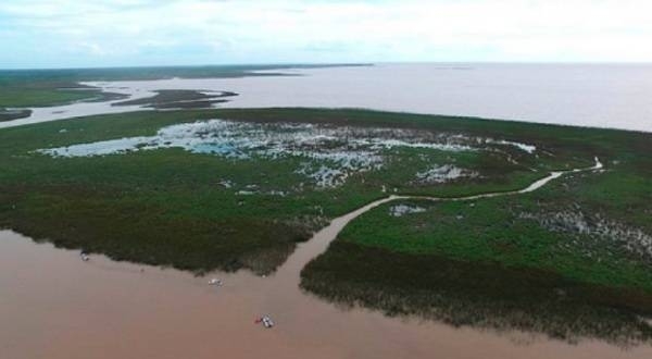 Diario HOY | Incendios arrasan a islas del delta del río Paraná en Argentina