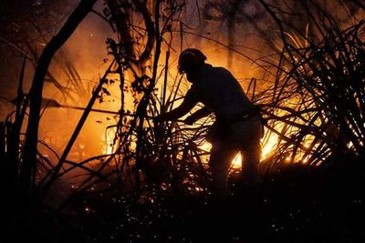 Infona trabaja en modificaciones de la ley sobre “quemas prescriptas” - Nacionales - ABC Color