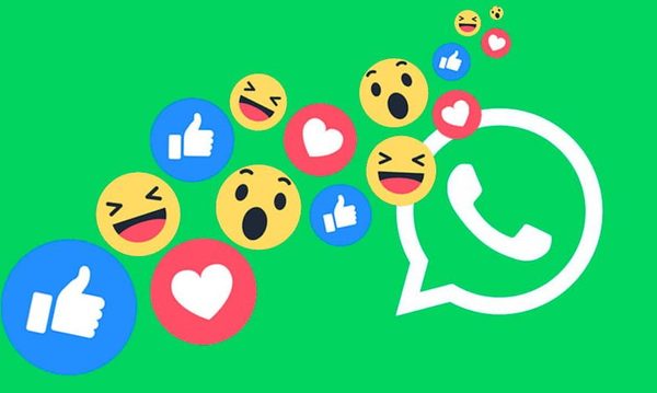 Las reacciones llegan a WhatsApp | Telefuturo