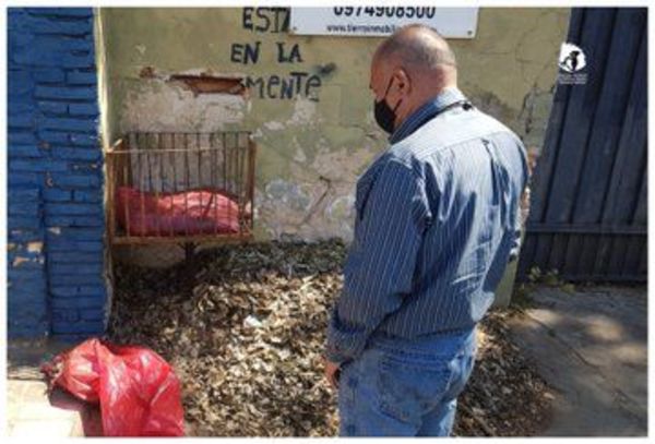 Extraño hallazgo de colas mutiladas de animales en Asunción - Nacionales - ABC Color