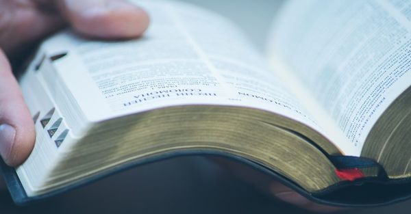 Cura roba celular a mujer en restaurante usando la Biblia en México (Video)