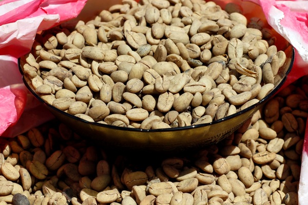 El café de Centroamérica ofrecerá un espectáculo visual en la Specialty Coffee Expo - MarketData