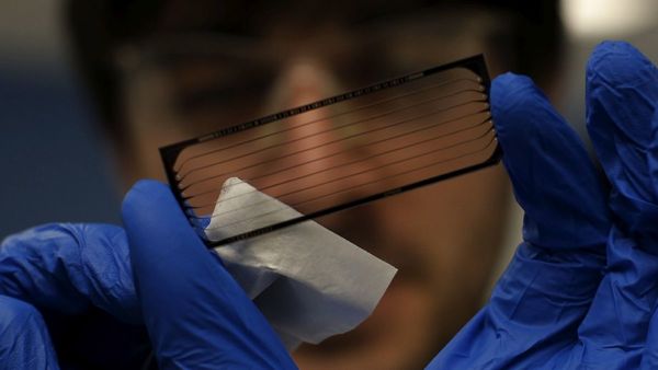 OMS analiza nueva variante del coronavirus detectada en Colombia